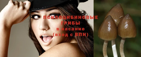 а пвп мука Абаза